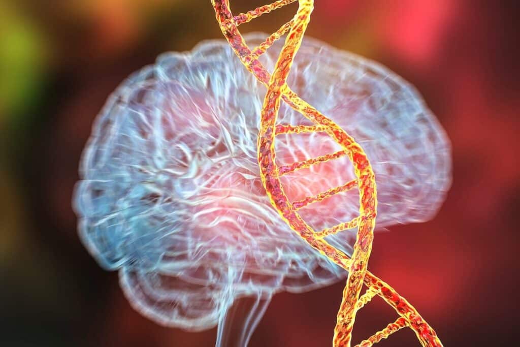 ADN and the brain for dementia care